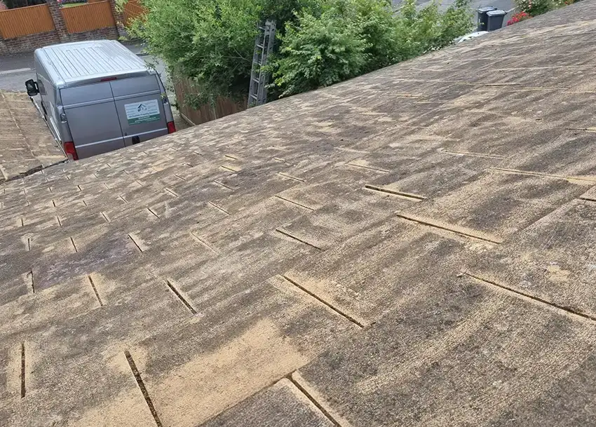 Roof Moss Removal