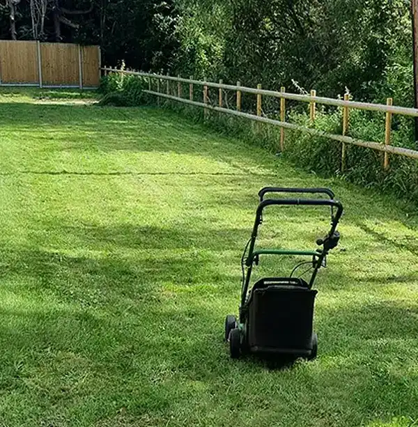 Lawn Care & Grass Cutting