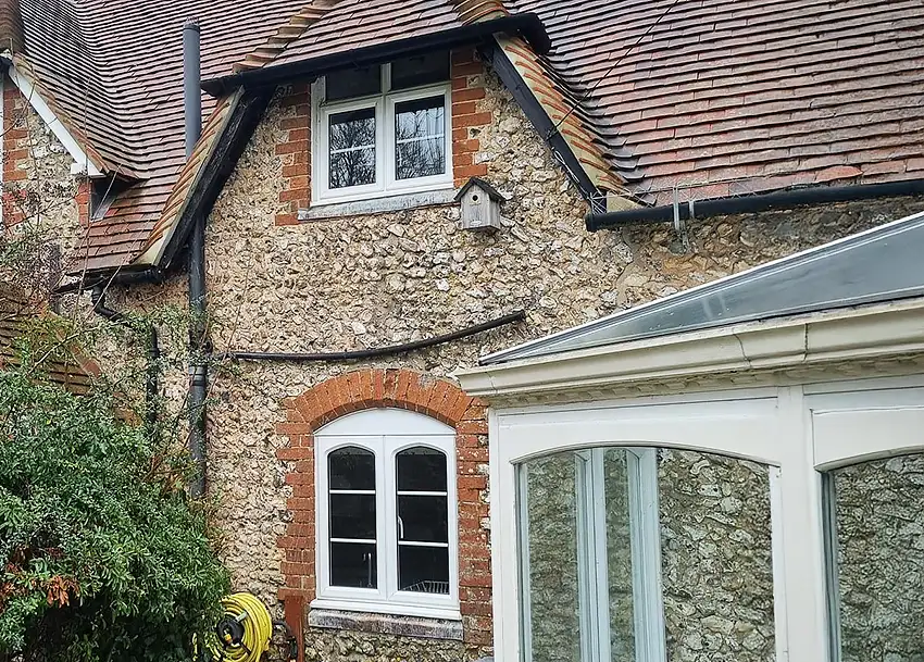 Ivy Removal and Property Restoration