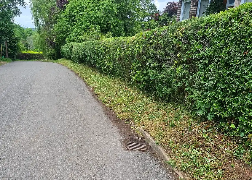 Hedge Cutting at Rural Property