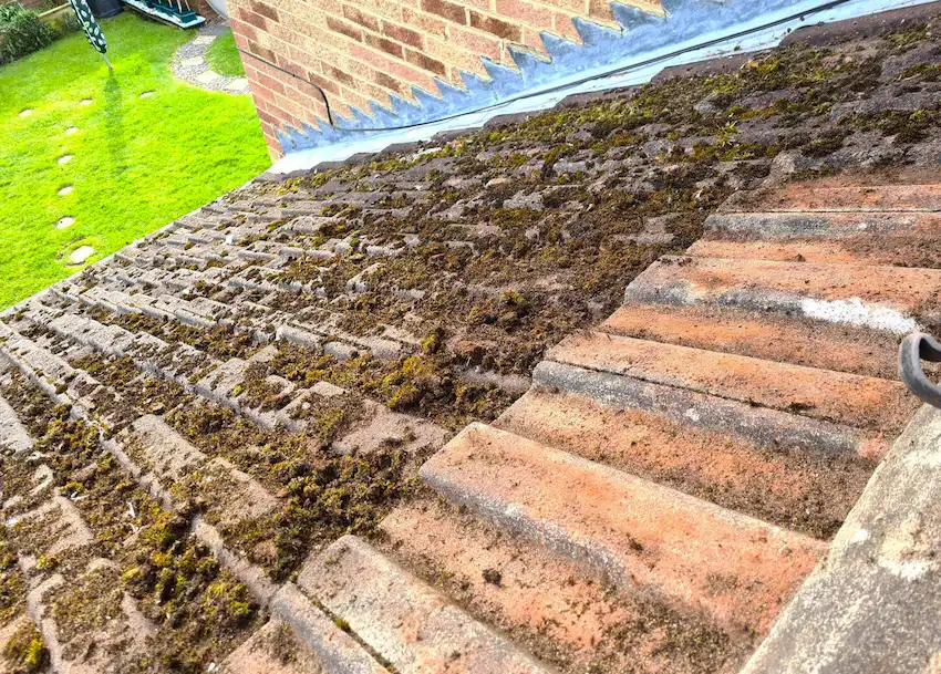 Roof Moss Clearance