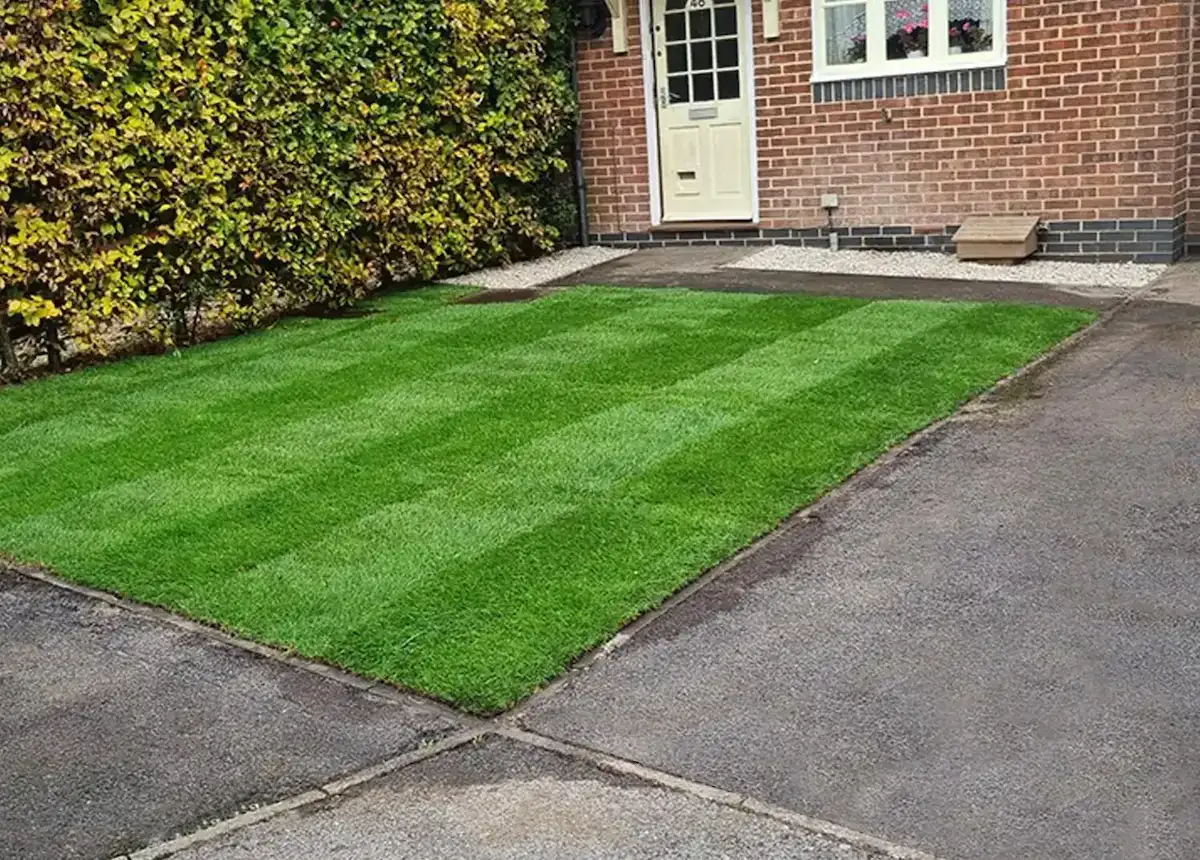 Reliable, professional garden maintenance