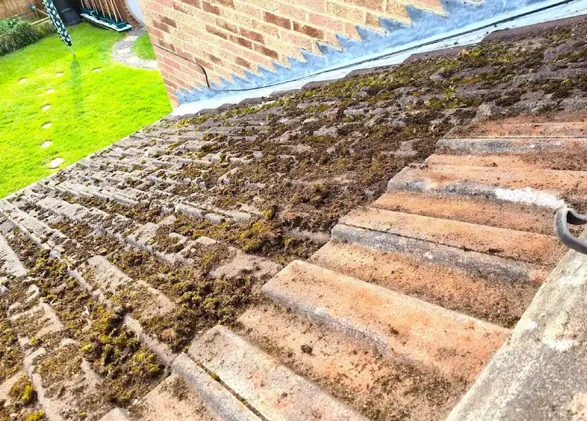 Roof moss clearance service