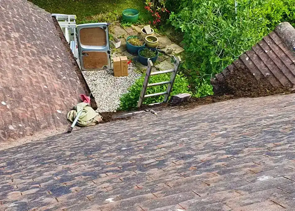 Roof moss clearance services