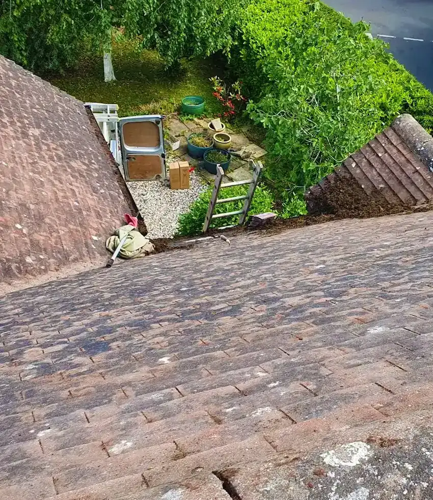 Roof moss clearance services