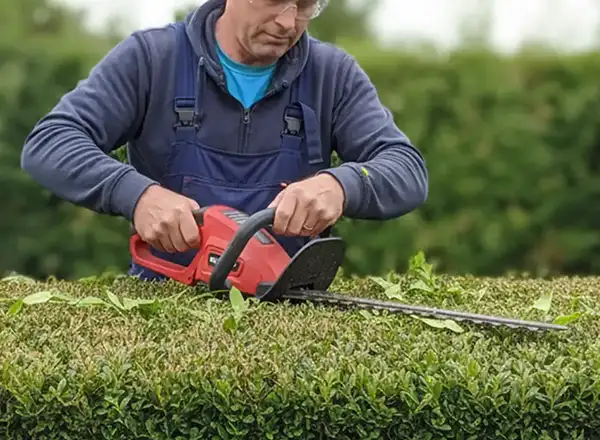 Hedge and Tree Cutting Services